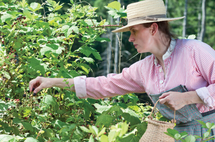 Foraging for Wild Edible Plants